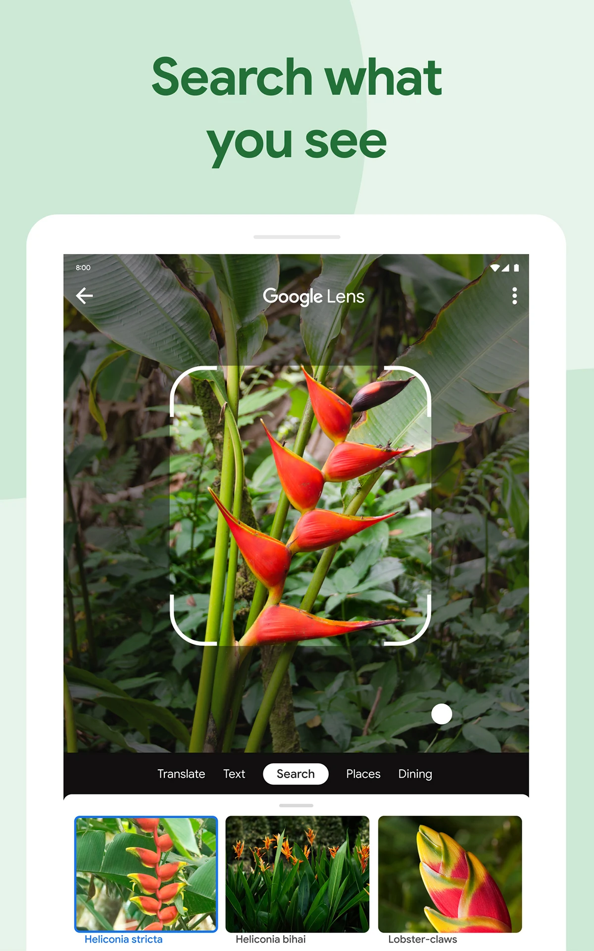 Google Photos screenshot